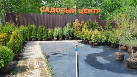 Особенности садового центра Berberis в Рыбном, Малое шоссе, 4 — Яндекс Карт...