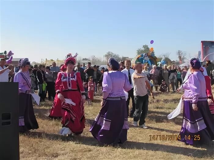 Погода в кривянской на 14. Кривянская Ростовская область. Станица Кривянская Новочеркасск. Глава администрации станицы Кривянской. Станица Кривянская школа 72.