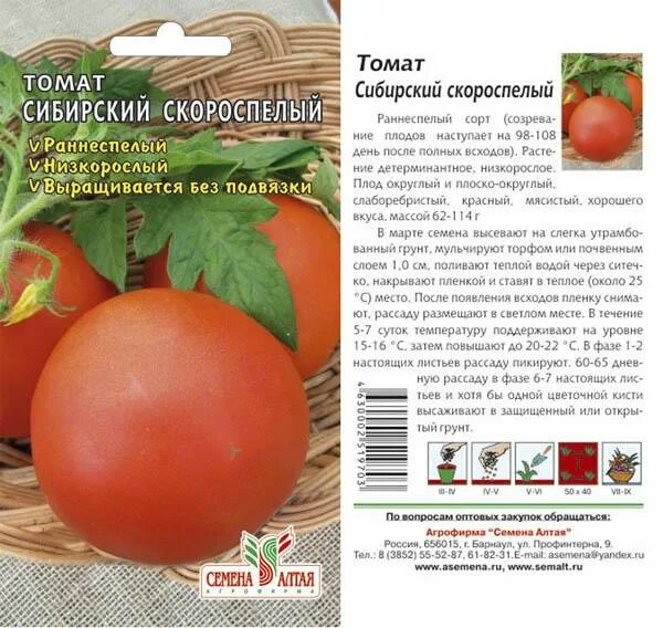 Скороспелые семена томатов. Томат Сибирский скороспелый семена Алтая. Сибирский скороспелый томат семена Сибири. Томат скороспелка. Семена томат Сибирский скороспелый.