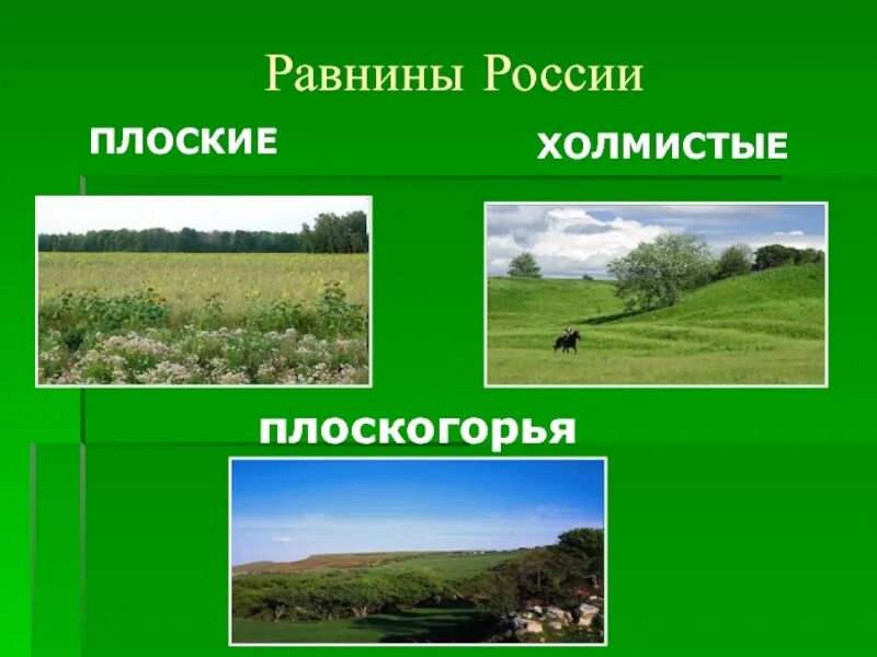 Тест великие равнины россии. Равнины России. Плоские и холмистые равнины. Равнины Плоскогорья низменности. Холмистые равнины России.