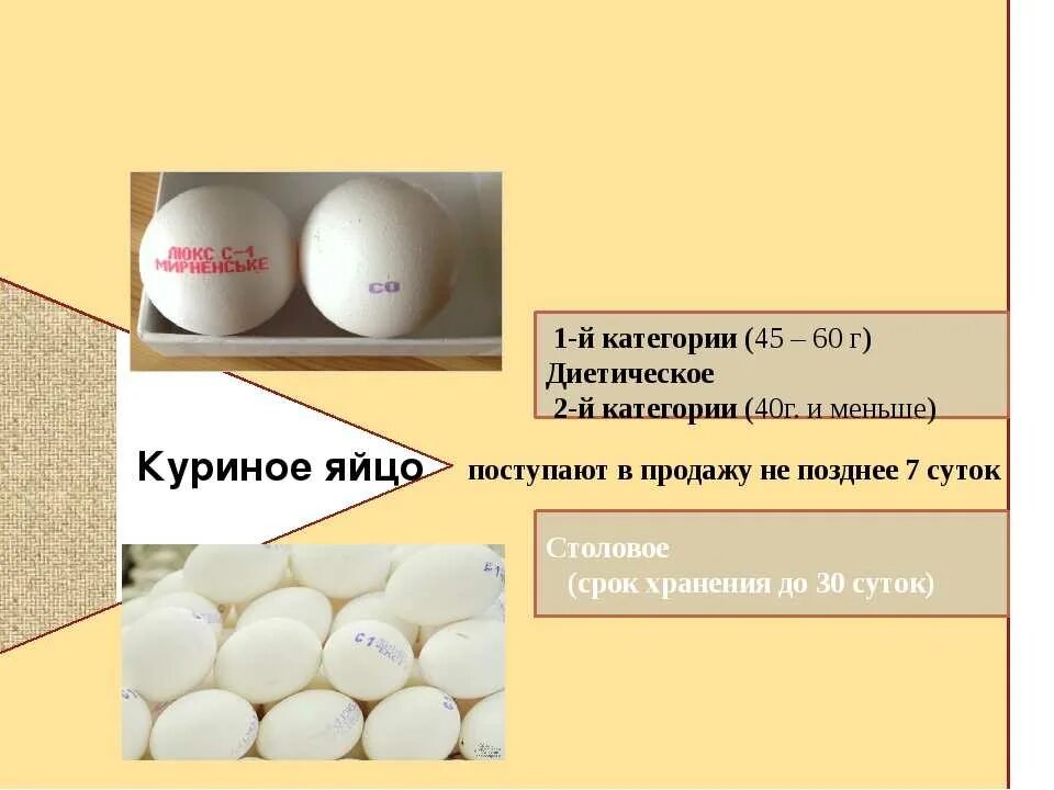 Сколько хранятся куриные яйца без холодильника. Срок хранения яиц. Яйца куриные названия. Срок хранения куриных яиц. Срок годности яиц куриных.