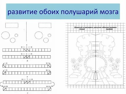 Упражнения для обоих полушарий