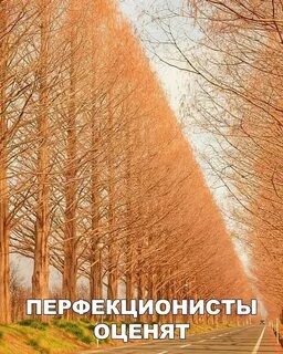 Ровные деревья