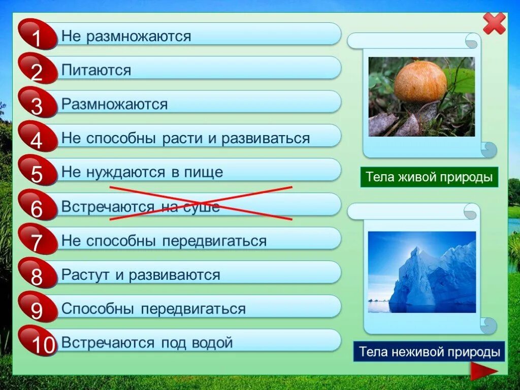 Тело природы 3 класс. Тела природы. Природные живые тела примеры. Тела неживой природы. Тела природы 2 класс.