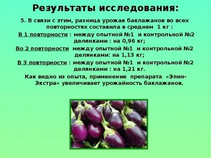 Можно баклажан при грудном вскармливании