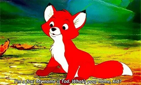 Good child and fox spirit