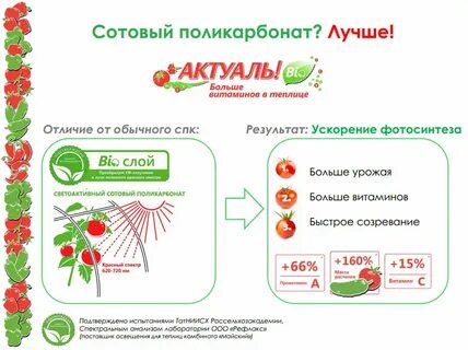 Тепличник био поликарбонат отзывы
