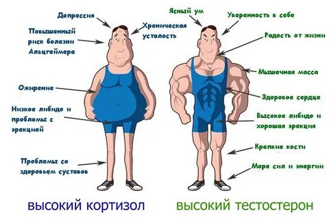 Что есть низшие люди