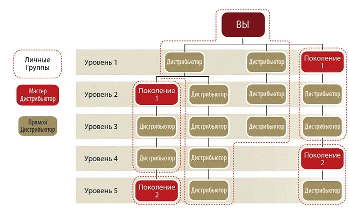 Чем дилер отличается от дистрибьютера