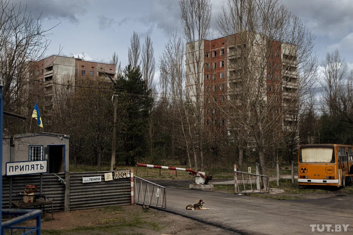 Город призрак Припять 2023. Город Припять сейчас 2023. Чернобыль город Припять. Припять 2022.