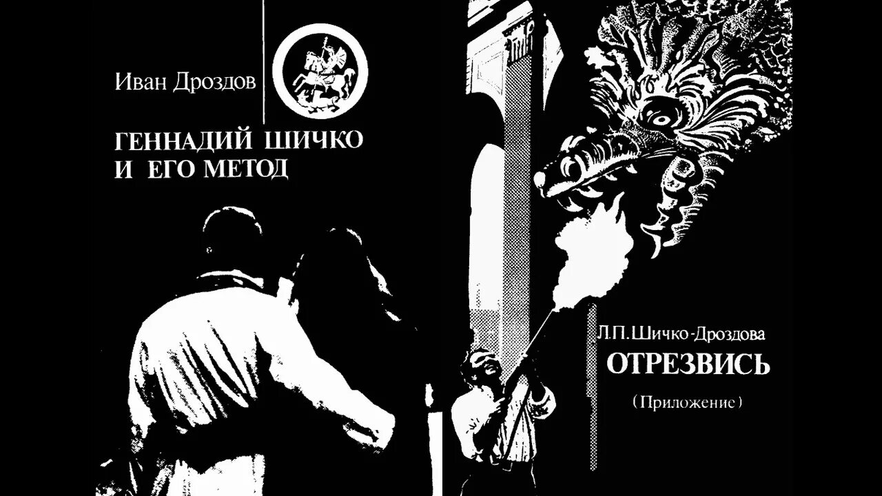 Метод шичко читать. Метод шичко.