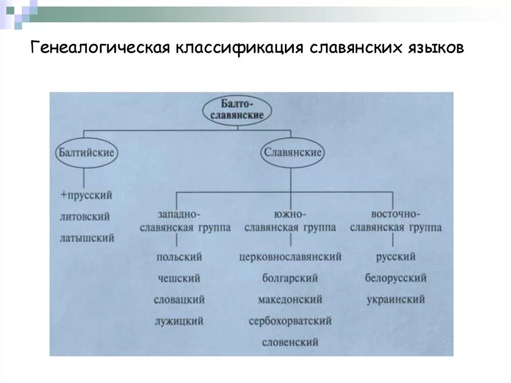 Генеалогическая классификация языков (основные принципы, примеры).. Генеалогическая классификация славянских языков. Генеалогическая классификация индоевропейских языков схема. Генеалогическая классификация языков родство языков. К славянской группе индоевропейской семьи относятся