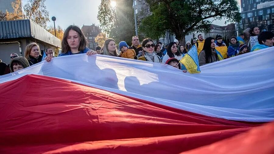 Польша митинги 2020. Поляки новости. Польша новости. Митинги в польше. Посольство польши в литве.