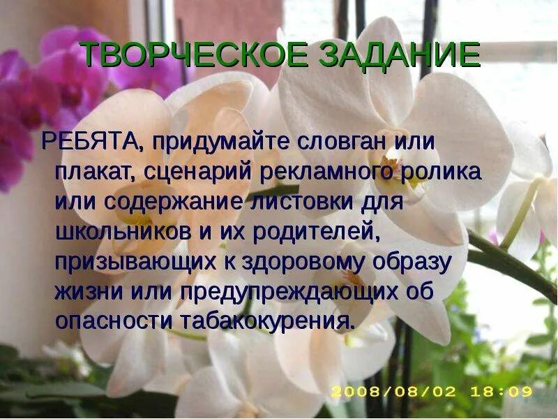 Какие можно придумать сценку. Какие можно придумать сценку