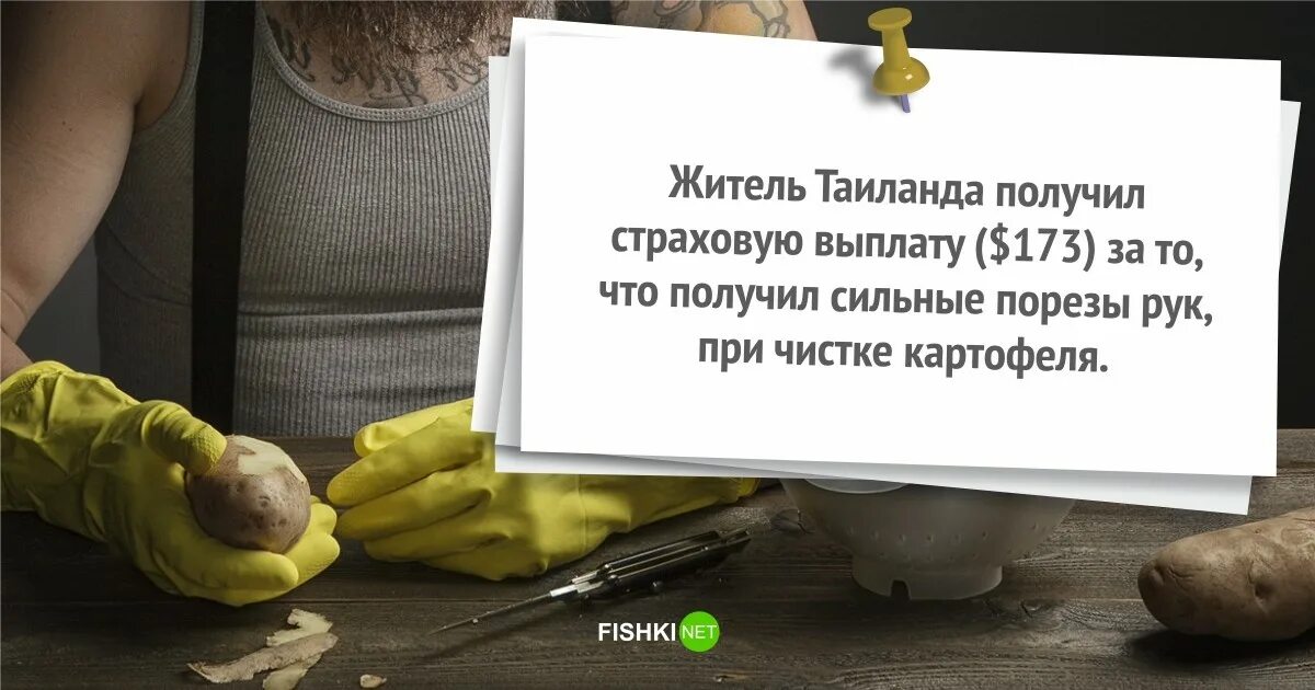 Все равно получу