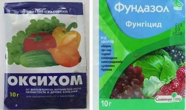 Биофунгицид клубника 2 в1. Биофунгицид +инсектицид. Хом для клубники. Спасатель для клубники. От вредителей клубники препараты.