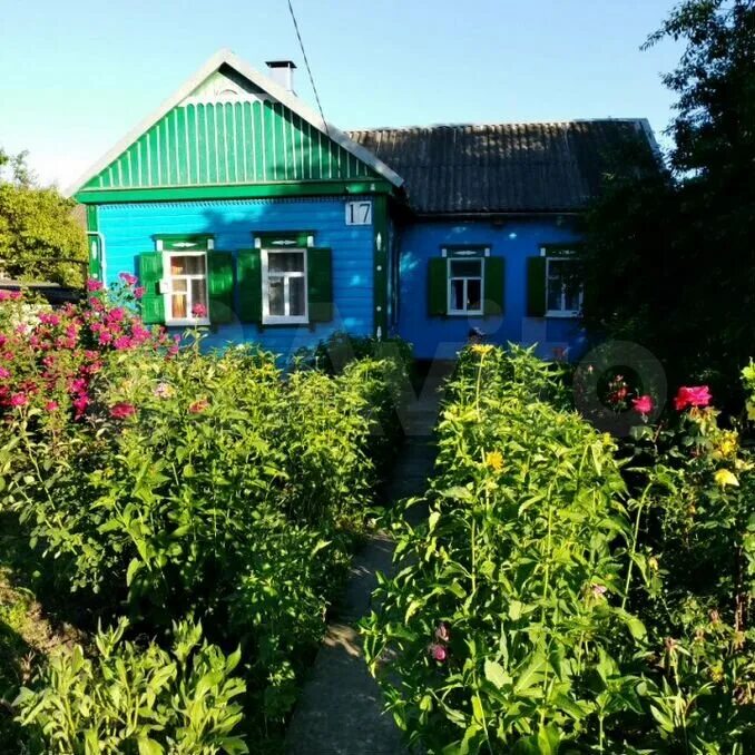 Дом каневской район краснодарский край. Авито Каневская станица Краснодарский край. Фото домов Каневская. Продажа домов Краснодарский край Каневской район Хутор Албаши. Купить дом Каневской район.