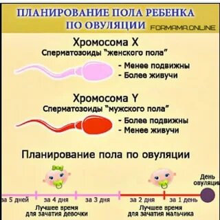 Картинки ЧЕРЕЗ СКОЛЬКО МОЖНО ПЛАНИРОВАТЬ БЕРЕМЕННОСТЬ