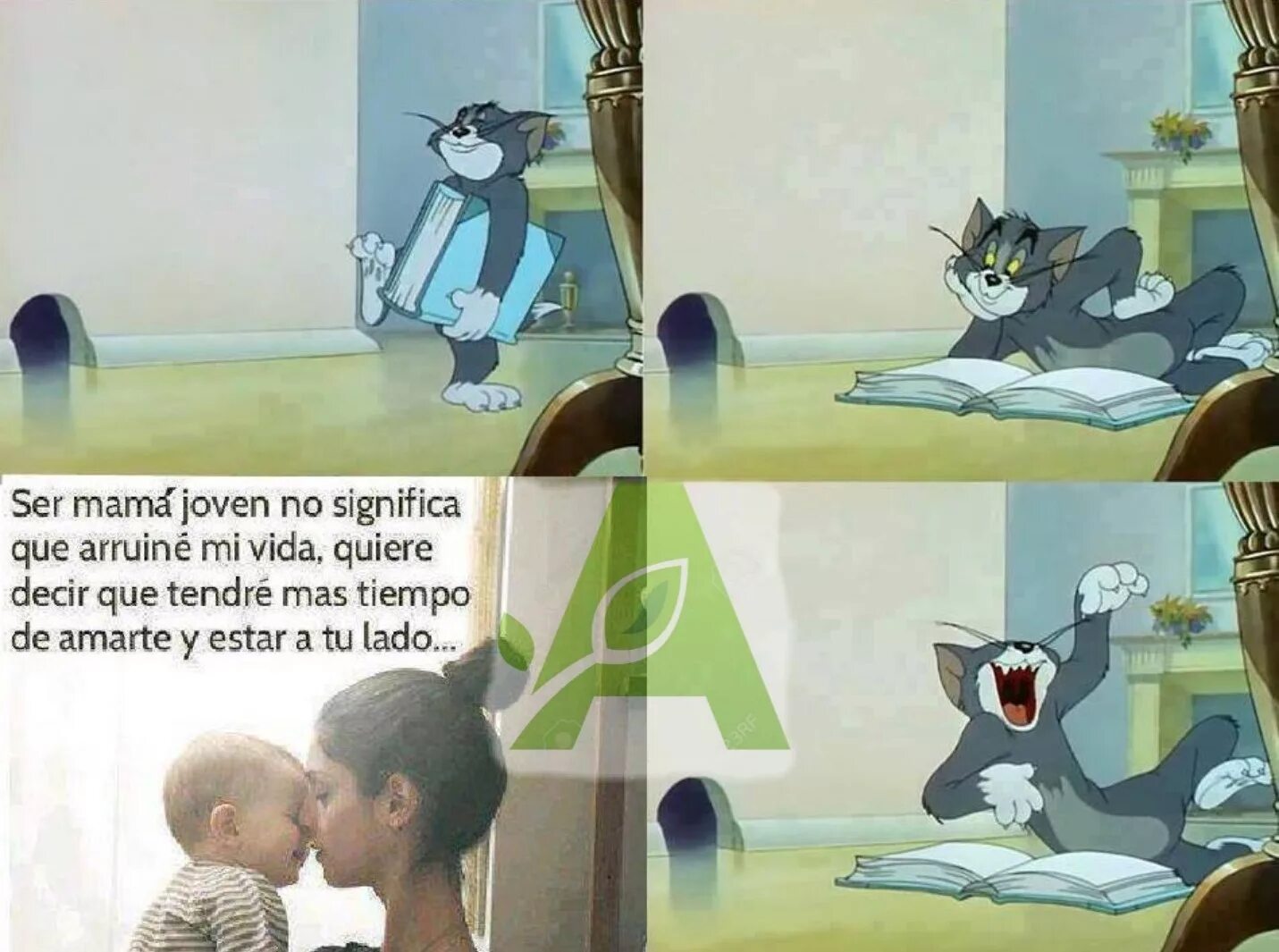 том читает книжку. том с книгой мем. том и джерри 1953. том читает книгу и смеется. том и джерри смеется.