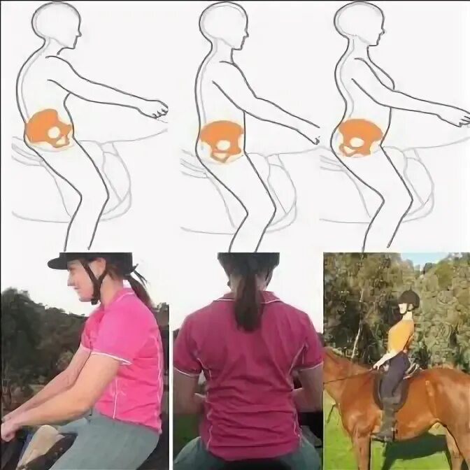 Упражнения для верховой езды. Тренировка лошади. Правильная посадка на коне. Упражнения для верховой езды на лошади.