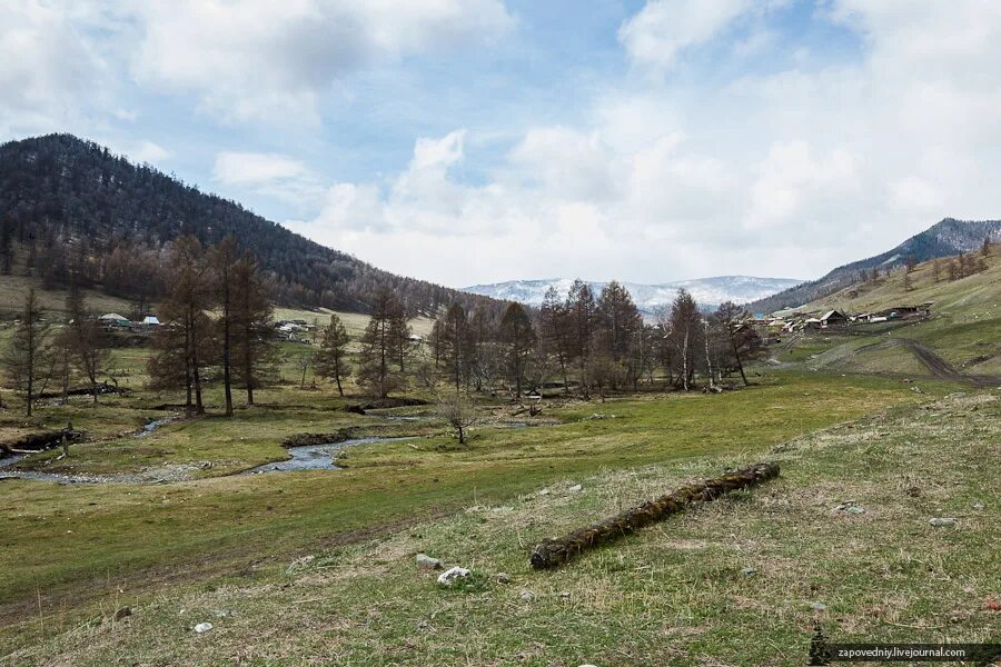 Село верх-Апшуяхта Шебалинского района Республики Алтай. Село Апшуяхта Республика Алтай. Верх Апшуяхта Республика Алтай. Село верх-черга Республика Алтай.