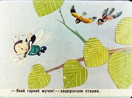 План жучки