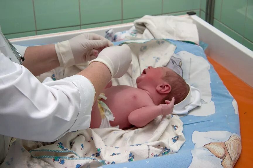 Малыш на четвереньках. Красивые малыши 7 месяцев. Новорожденного 7. Ребенок плачет. Новорожденный 22 недели.