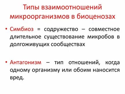 Виды взаимоотношений бактерий