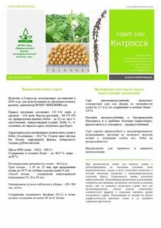 Сорта сои характеристика