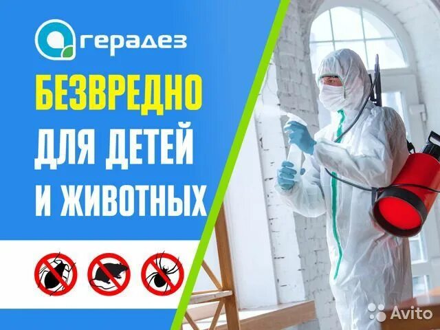 Герадез киров. Герадез. Герадез центр дезинфекции отзывы. Герадез. Девушка дезинсектор.