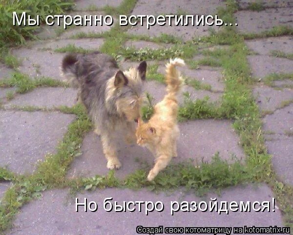 Разъехайся быстрее. Дурак на деньги. Ещё два блинчика и расходимся. Мы чудно встретились и чудно разошлись. Машины не могут разъехаться во дворе.