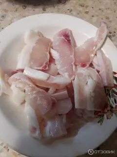 Белая форель пангасиус