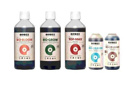 Top max