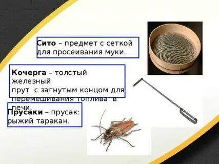 Значение сита