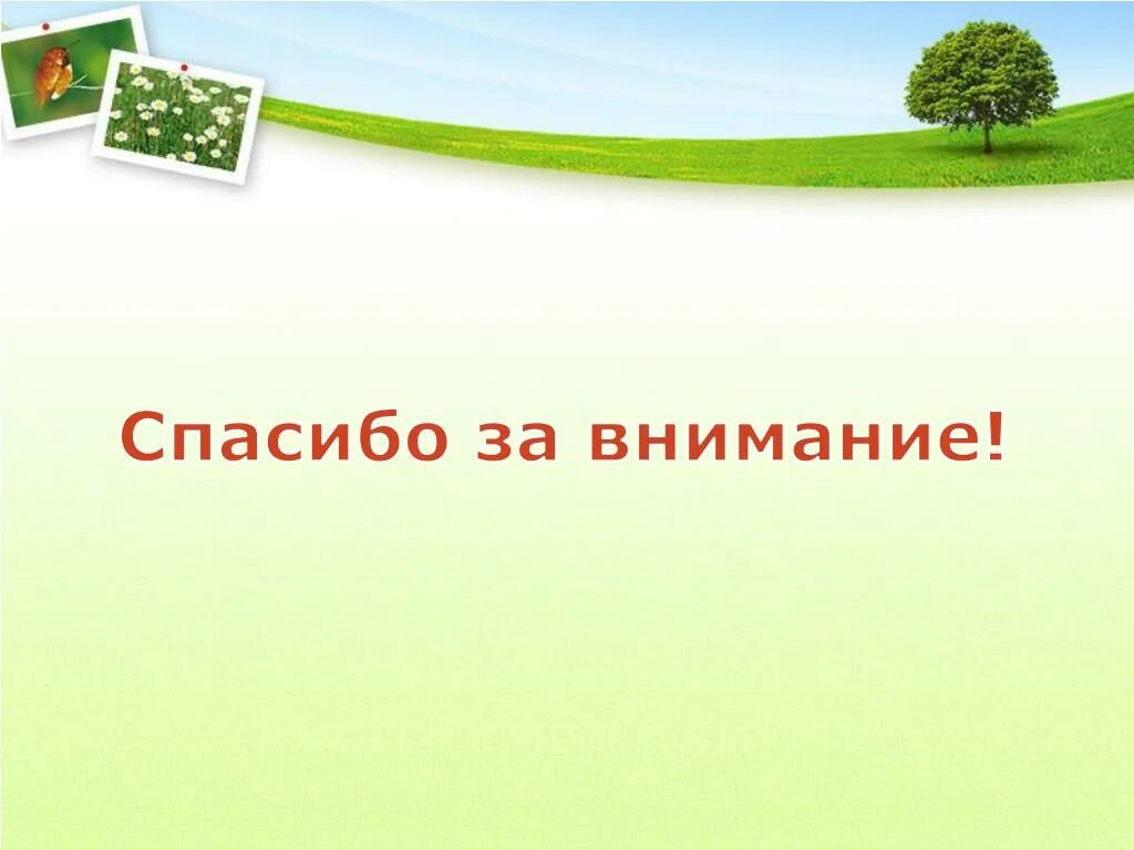 Презентации по теме окружающий мир. Фон для слайда экология. фон для проекта по окружающему миру. фон для презентации по окружающему миру. фон для презентации по экологии.