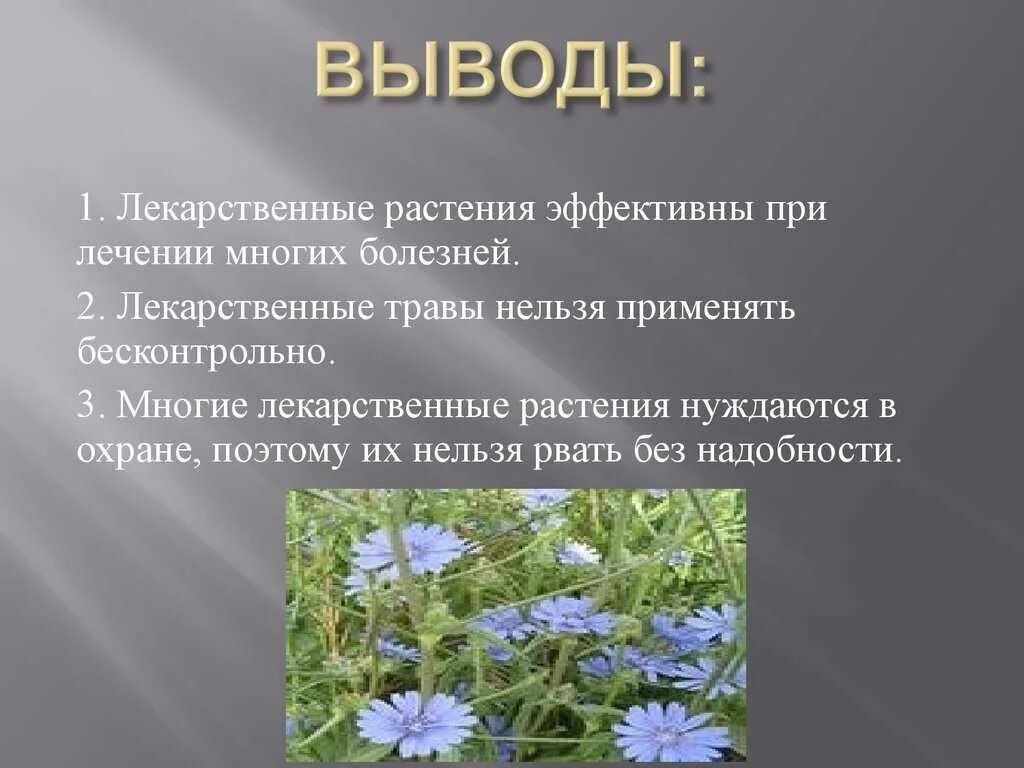 Презентация растение 2 класс окружающий мир. Лечебные растения. Проект лечебные растения. Лекарственные растения презентация. Презентация на тему лекарственные растения.