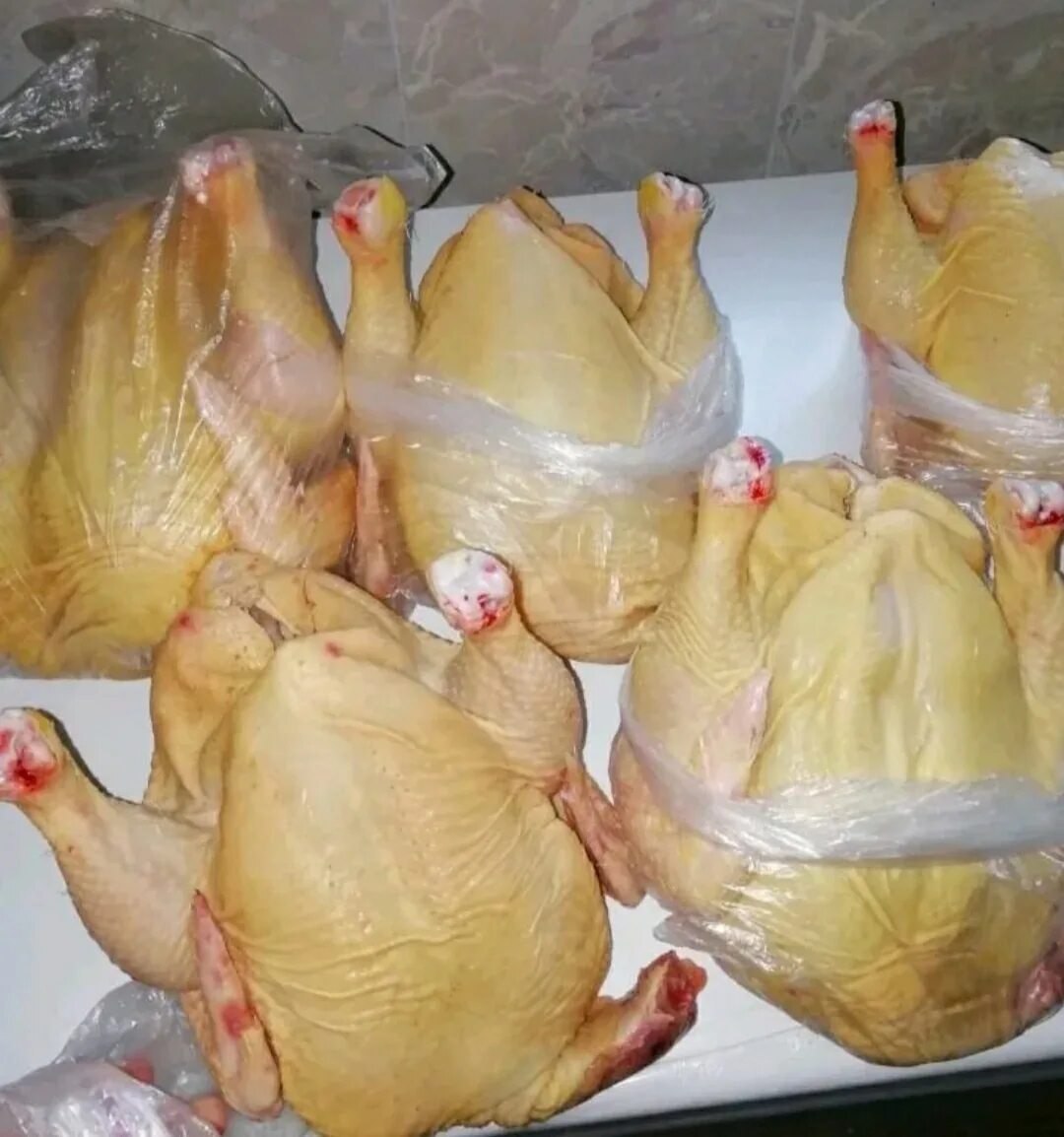 Каких бройлеров брать на мясо