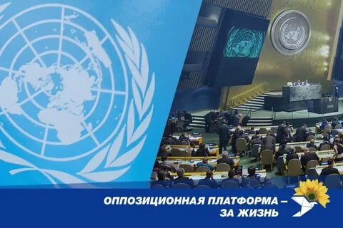 Резолюция генеральной ассамблеи оон 2001