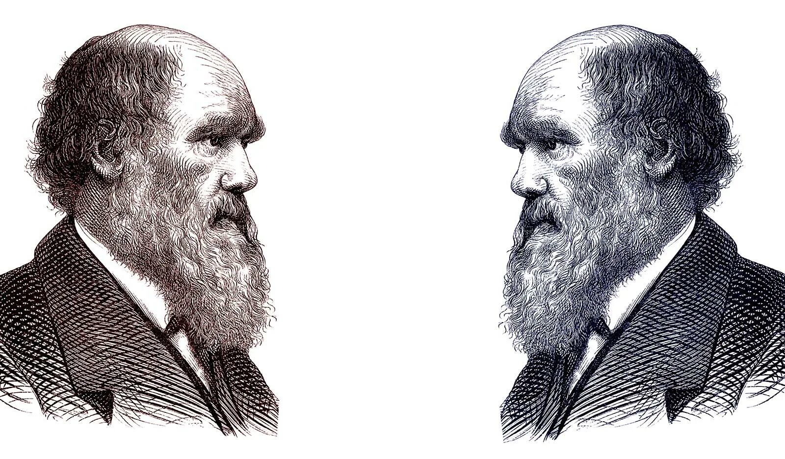 Дж дарвин. Джордж Дарвин 1845-1912.