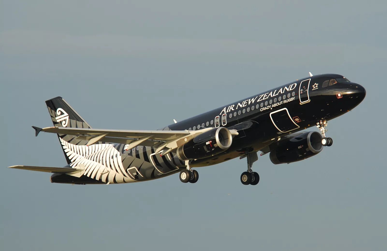 Air new zealand. Airbus a320 Air New Zealand. A320 Air Zeland. Air New Zealand a320 details. Air New Zealand Эйрбас а320.