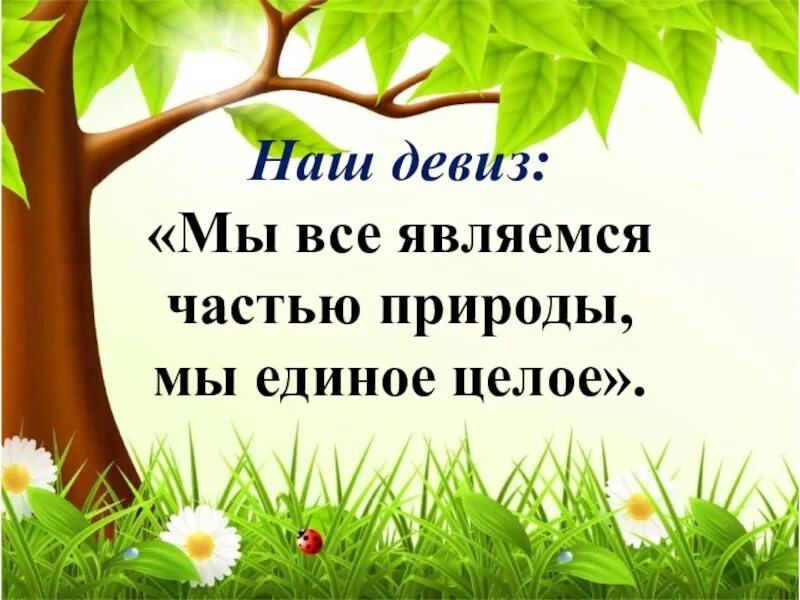 Лозунги для природы. Девиз о природе для детей. Слоган про природу. Экологические лозунги. Девиз про природу.