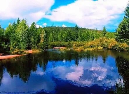 Вместо озера