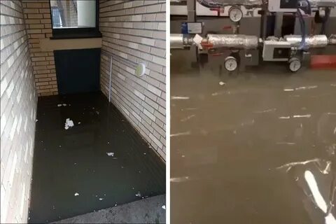 Кот затопил квартиру поляку