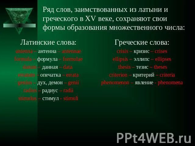 Из каких греческих слов образовалось слово. Заимствованные слова из латинского. Заимствованные слова из греческого. Заимствований из греческого слова. Слова заимствованные из древнегреческого языка.