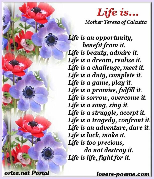 Life is a challenge. Mother Teresa Life. Mother Teresa about Life. Mother Teresa poem. Стихотворение матери Терезы жизнь.