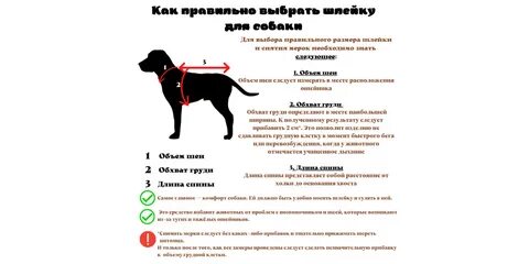 Как подобрать размер шлейки для собаки