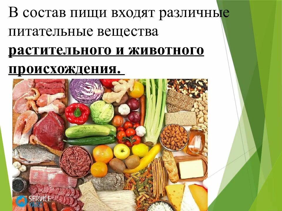 Отметь продукты растительного происхождения. Пища и питательные вещества. Состав пищи. Состав пищи питательные вещества. Вещества растительного и животного происхождения.