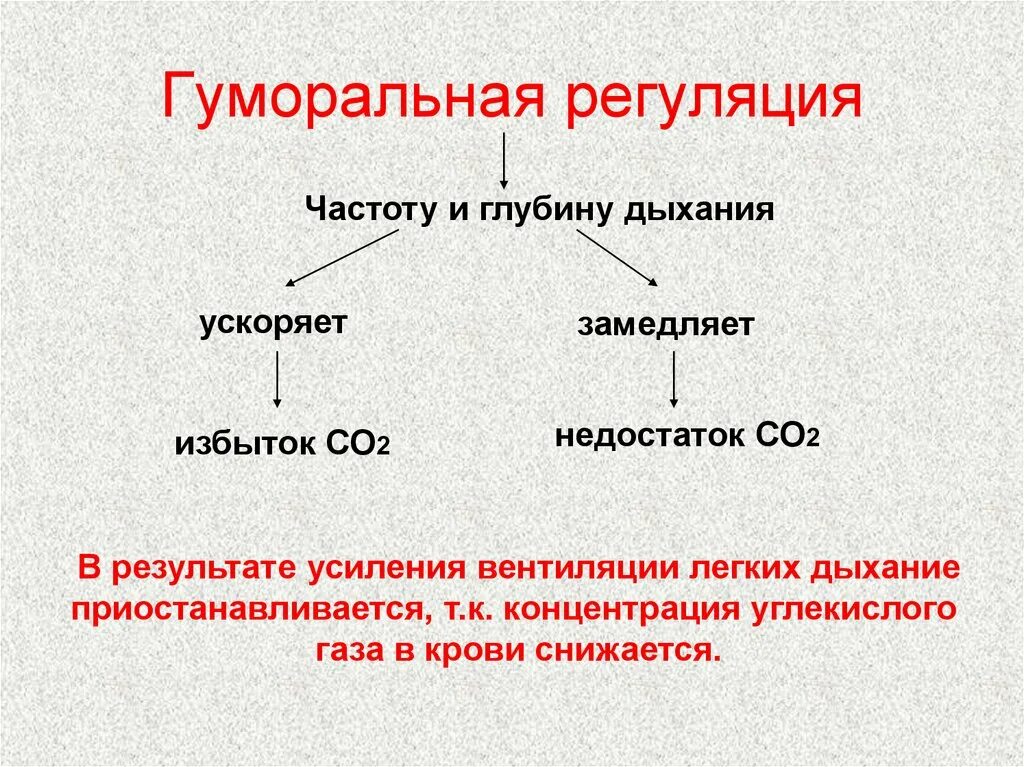 Гуморальная регуляция мозга. Рефлекторная и гуморальная регуляция дыхания таблица 8 класс. Гуморальная регуляция дыхания 8 класс. Способы регуляции дыхания 8 класс биология. Гуморальная регуляция дыхания схема.