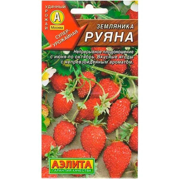 Земляника руяна альпийская. Земляника сорт руяна. Семена земляника руяна. Земляника руяна отзывы. Земляника барон солемахер.