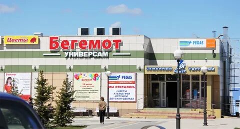 Сеть магазинов бегемот